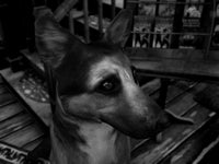 https://images.2game.com/screenshot/the-last-crown-midnight-horror-buy-cdkey-full-18.jpg